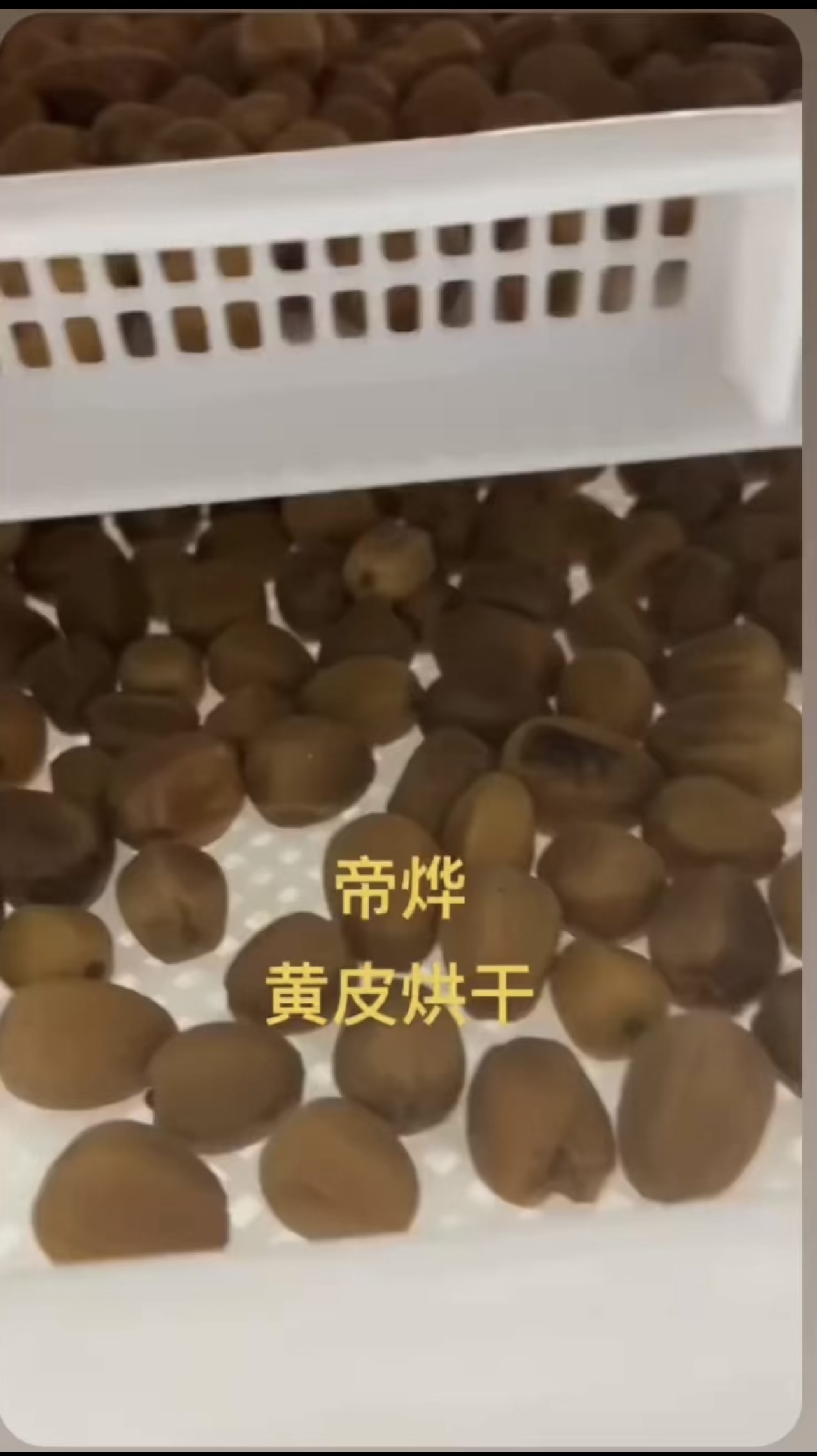 黄皮烘干项目