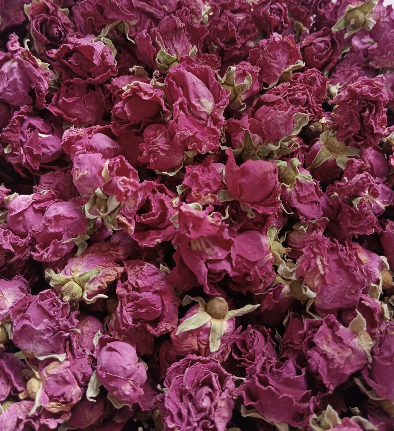 小批量玫瑰花烘干选设备指南：认准空气能热泵，3 步避坑