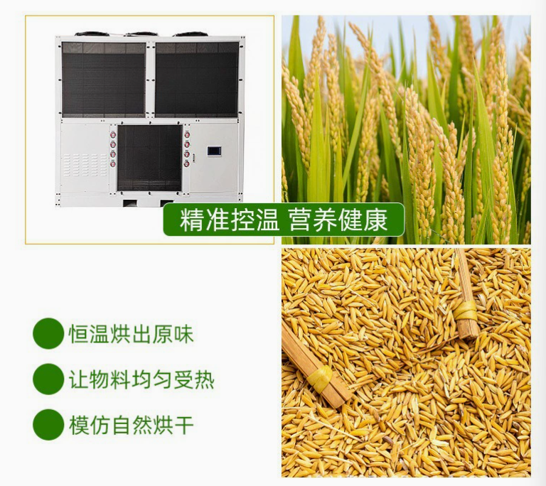 谷物烘干出口的高效解决方案