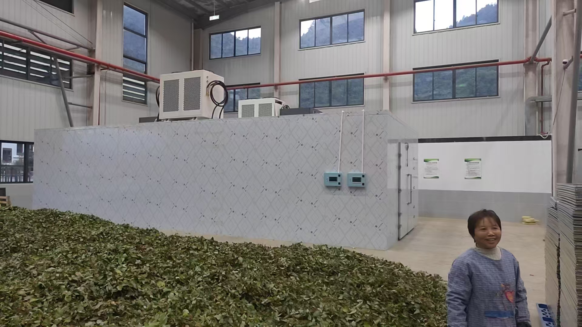 贵州药材淫羊藿烘干项目