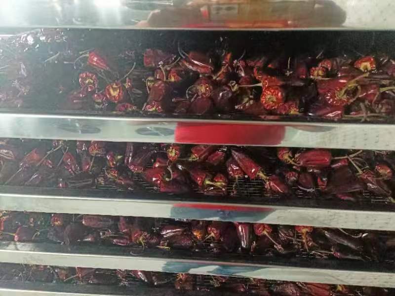 阳江辣椒烘干项目