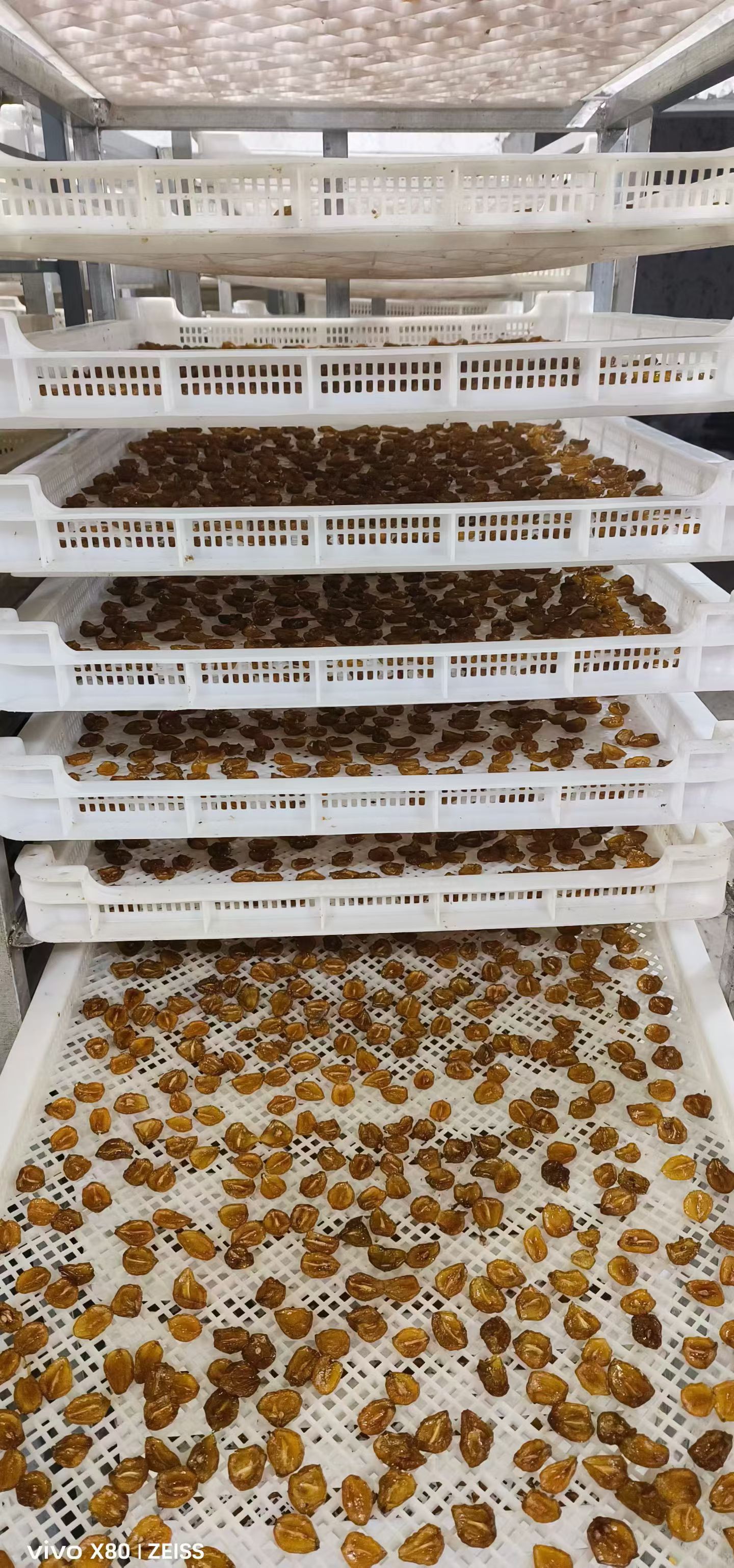 空气能烘干糖果：高效环保又节能