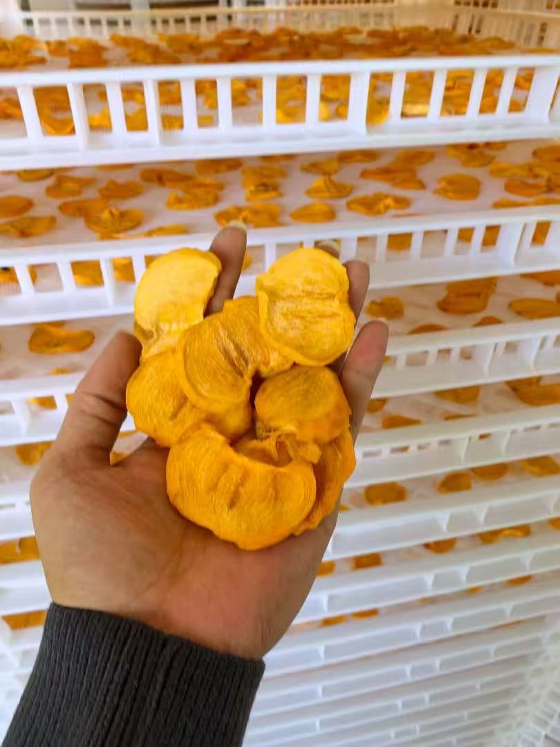 柿饼片烘干项目
