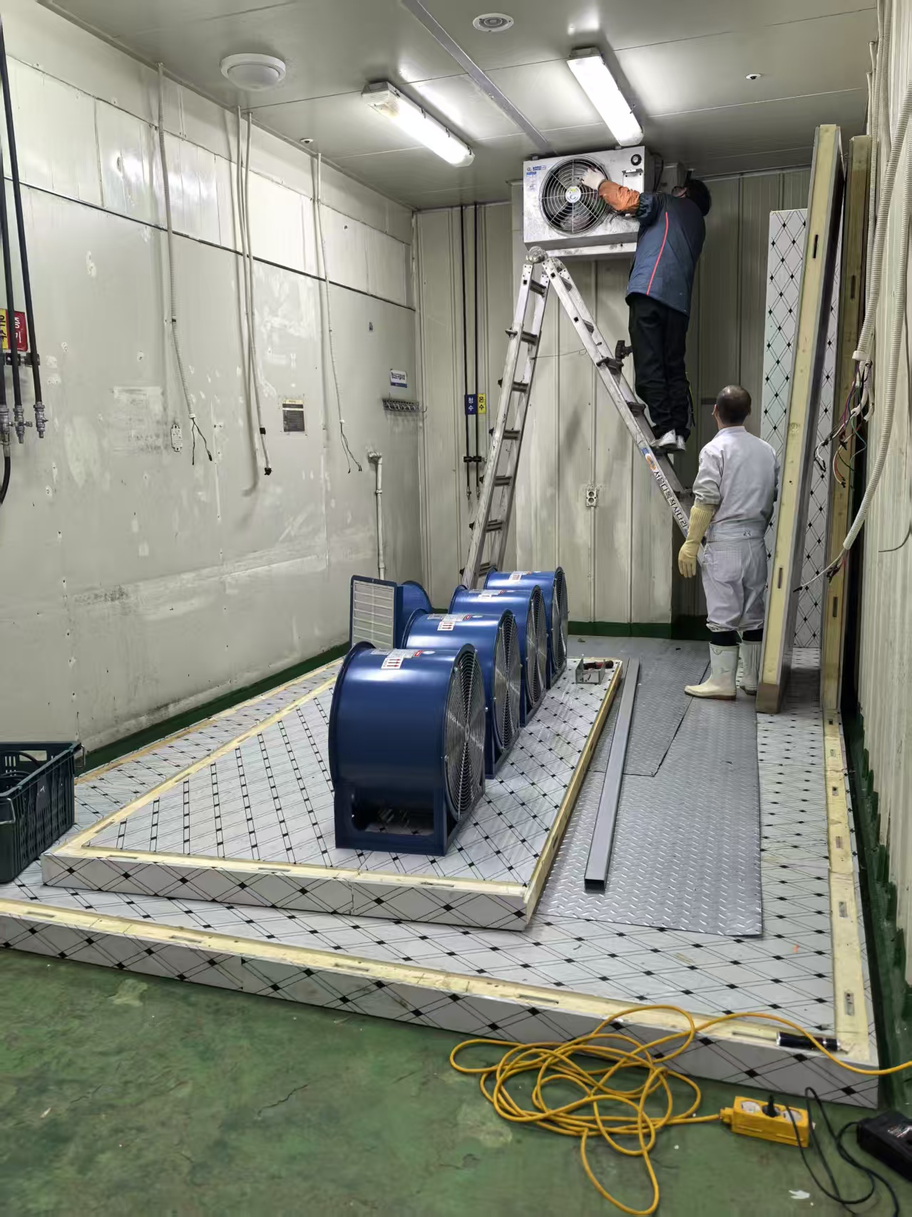 韩国：海产品烘干项目进行中