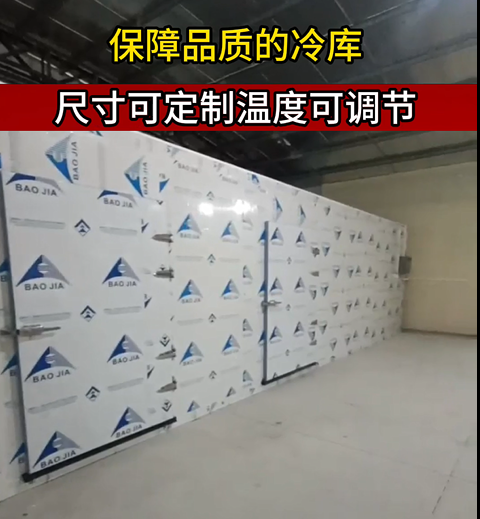 商用肉类冷库，屠宰场、肉铺、加工厂适用