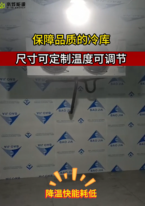 商用肉类冷库，屠宰场、肉铺、加工厂适用