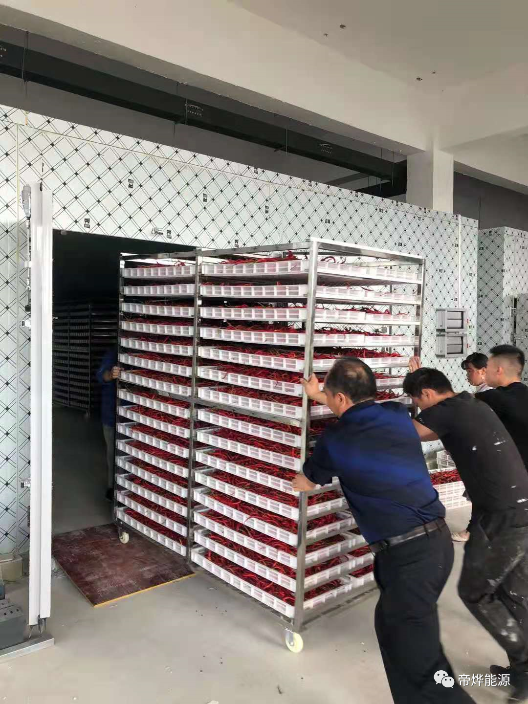 帝烨辣椒烘干机 省电 70% 量产加工专用